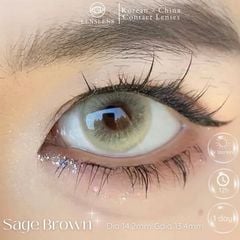 Lens 1 NGÀY Thời trang DOUYIN (cặp) - Sage Brown