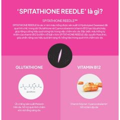 Tinh chất Serum Dưỡng Trắng Căng Bóng Da Maxclinic Glutathion ampoule shot 50ml
