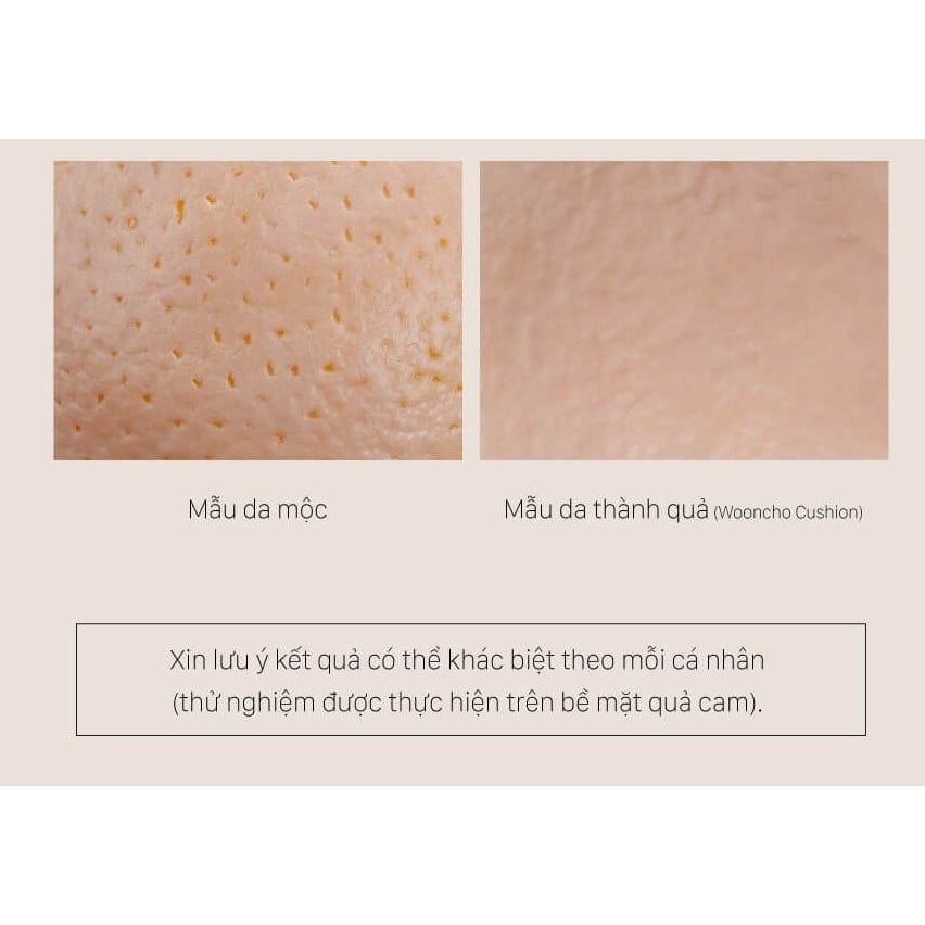Phấn Nước Dinto Cushion Blur-Finish Wooncho
