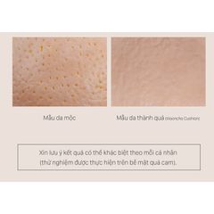 Phấn Nước Dinto Cushion Blur-Finish Wooncho