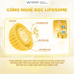 [Hộp 30 miếng] Mặt Nạ Giúp Dưỡng Da WonJin Effect Mask 350g