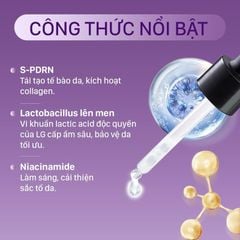 Tinh chất PDRN căng bóng sáng da hỗ trợ tái sinh CNP Derma Answer Active Boost Ampule