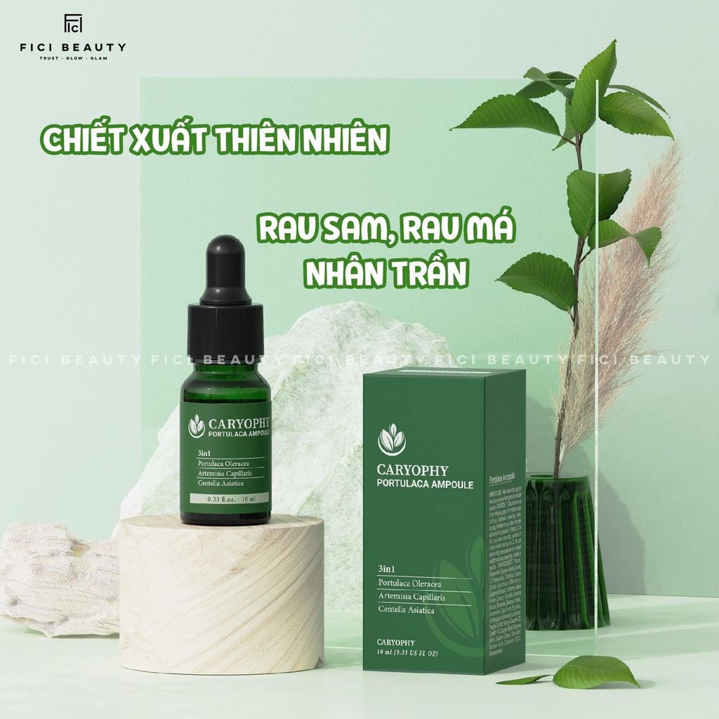 Tinh Chất Chăm Sóc Cho Da Mụn Caryophy Portulaca Ampoule