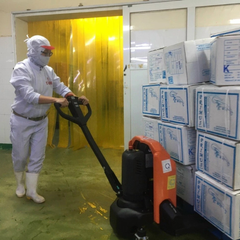 Xe nâng tay điện Toyota BT Tyro