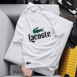  AT LACOSTE CT IN 240072 