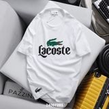  AT LACOSTE CT IN 240072 