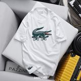  AT LACOSTE CT IN 240072 