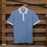  PL ÁO THUN POLO COTTON P3 ( 5 MÀU) 