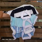  PL ÁO THUN POLO COTTON P3 ( 5 MÀU) 