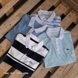  PL ÁO THUN POLO COTTON P3 ( 5 MÀU) 