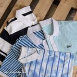  PL ÁO THUN POLO COTTON P3 ( 5 MÀU) 