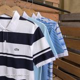  PL ÁO THUN POLO COTTON P3 ( 5 MÀU) 