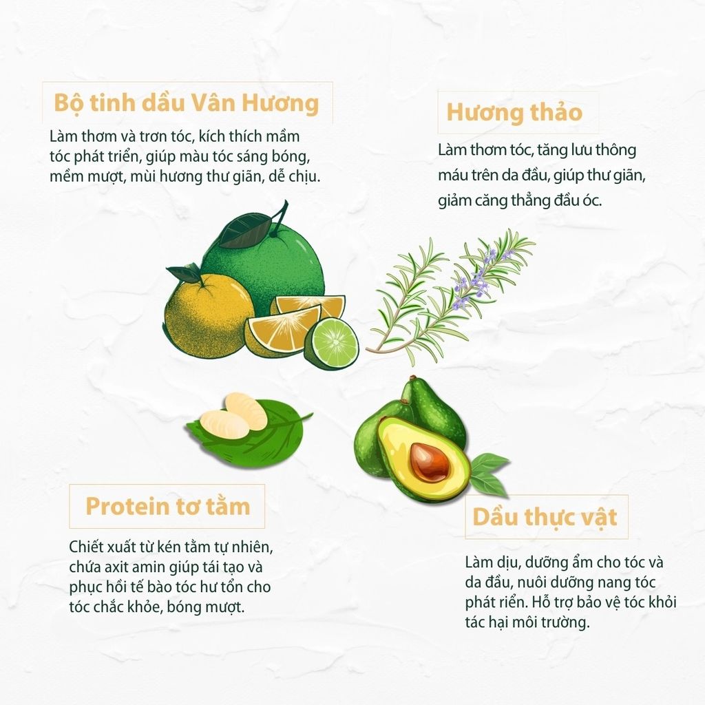 Ủ & xả Vân Hương 150ml