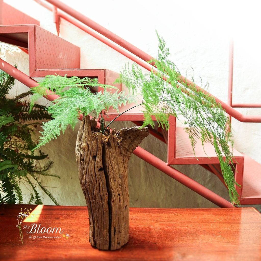 Xanh 7 - Kim Thủy Tùng