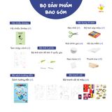  5 Châu lục, 5 quốc gia | Nhật Bản, Ý, Mỹ, Ai Cập, Úc 