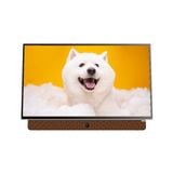  Google TV Xách Tay 24LP6000G FHD 