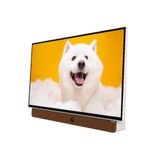  Google TV Xách Tay 24LP6000G FHD 