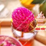  Trà Hoa Cúc Bách Nhật Lon 100Gram 