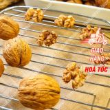  Óc Chó Lâm Đồng, Hạt Nhắn "Vua Của Các Loại Hạt" - Lon 350gr 