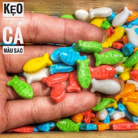  Kẹo Cá Màu Sắc Lon 500Gram - Kẹo Cứng - Kẹo Ngậm 