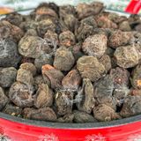  Ô Mai Mơ Hun Khói (Trà Mơ Khô Hun Khói) 