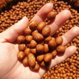  Đậu Phộng Da Cá Socola Lon 180Gram 