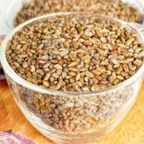  Thảo Quyết Minh Sấy Khô (Muồng Lạc - Muồng Ngủ - Đậu Ma – Hạt Giời – Giả Lục Đậu) - Túi 500gr 
