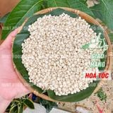  Hạt Ý Dĩ ( Bo Bo/ Cườm Thảo) - Túi 500gr 