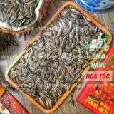  Hạt Hướng Dương Duy Ký - Lon 300gr 