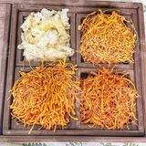  Nấm Đông Trùng Sấy Khô (Nấm Trùng Thảo) - Túi 500gr 