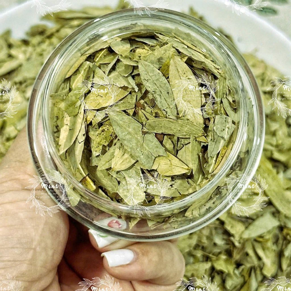  Phan Tả Diệp (Dương tả diệp - Tả diệp trà - Tiêm diệp - Hiệp diệp - Senna) Túi 1kg 