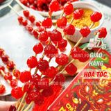  Chùm Ruột Xiên Que Tuổi Thơ Kèm Muối Chấm Hộp 400gr (Hộp 22 Xiên) 