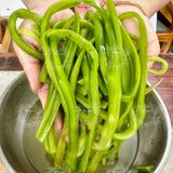  RAU TIẾN VUA KHÔ (Công Sôi/ Rau Cần Biển/ Rau Cần Khô) - Túi 500gram 