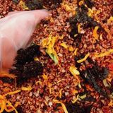  Gạo Lứt Sấy Giòn Mix Rong Biển Khô Gà Ăn Liền Lon 300gr 