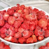  Dâu Tây Sấy Thăng Hoa Túi 500Gr (Dâu Tây Sấy Lạnh) 