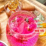  Hoa Cúc Bách Nhật Sấy Lạnh - Lon 100gr 