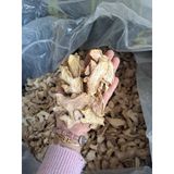  Gừng Lát Sấy Khô (Trà Gừng) - Túi 250gram 