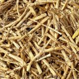  Rễ Cỏ Tranh Sấy Khô Nấu Nước Sâm Nước Mát - Túi 500gr 