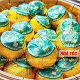  Trà Phổ Nhĩ Quýt (Tiểu Thanh Cam) Túi 500g 