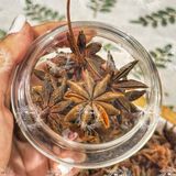  Hoa Hồi Khô Nguyên Cánh Túi 500Gram (Hồi Sao - Đại Hồi Hương -  Tai Vị - Bác Giác Hồi Hương) 