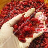  Nam Việt Quốc Sấy Dẻo Không Đường - Lon 500gram 