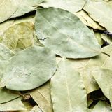  Lá Nguyệt Quế Sấy Khô (Bay leaf, Trà Nguyệt Quế, Nguyệt quới, nguyệt quý) Túi 1KG 