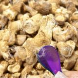  Chân Nấm Hương Khô Loại 1 (Chân Nấm Đông Cô - Chân Nấm To Dùng Làm Ruốc Chà Bông Chay) Túi 200g 