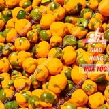  ĐẬU HÀ LAN PHÔ MAI L300Gram 