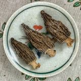 Nấm Bụng Dê Sấy Khô (Nấm Quý Tây Bắc) - Túi 100gr 