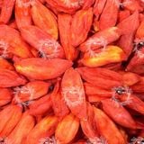  Kỷ Tử Đỏ Sấy Thăng Hoa Siêu Vip Dùng Ăn Trực Tiếp (Câu Kỷ Tử - Fructus Lycii) Hộp 100g 