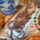  Râu Mực (Đầu Mực) Khô Túi 500Gram (HCK) 