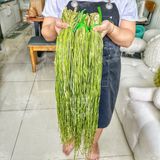  RAU TIẾN VUA KHÔ (Công Sôi/ Rau Cần Biển/ Rau Cần Khô) - Túi 500gram 