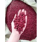  Xích Tiểu Đậu (Đậu Đỏ Khô/ Mễ Xích) - Túi 500gram 