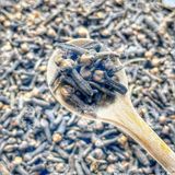 NỤ ĐINH HƯƠNG SẤY KHÔ (Nụ To Thơm Đẹp - Cloves Whole) Túi 500g 